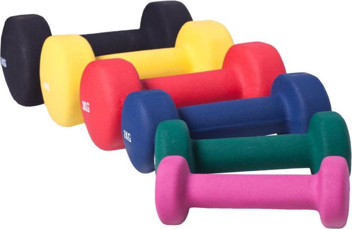 Vinyl Complete Halterset 31 kg