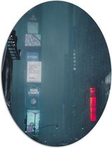 Dibond Ovaal - Donkere Stad tijens Regenbui - 81x108 cm Foto op Ovaal (Met Ophangsysteem)
