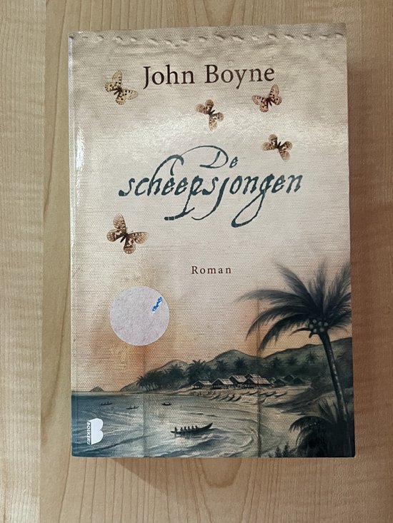 Livre 'Le Jeune Marin' de John Boyne. Couverture de livre romantique avec une plage tropicale, des palmiers, des villages et des bateaux sur l'eau, décorée de papillons.