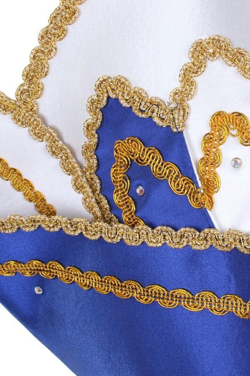 Isolator Digitaal Mathis Prins Carnaval steek muts blauw met steentjes - prinsenmuts raad van elf  goud wit... | bol.com