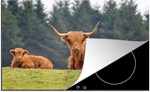 KitchenYeah® Inductie beschermer 78x52 cm - Schotse Hooglanders - Kalf - Schotse Koe - Kookplaataccessoires - Afdekplaat voor kookplaat - Inductiebeschermer - Inductiemat - Inductieplaat mat