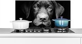 Spatscherm keuken 90x45 cm - Kookplaat achterwand Close-up labrador puppy tegen zwarte achtergrond in zwart-wit - Muurbeschermer - Spatwand fornuis - Hoogwaardig aluminium