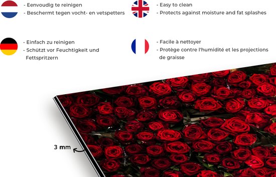 Spatscherm keuken 100x65 cm - Kookplaat achterwand Bloemen - Rozen - Rood - Muurbeschermer - Spatwand fornuis - Hoogwaardig aluminium