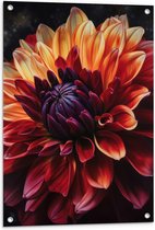 Tuinposter – Oranje Roze Bloem - 60x80 cm Foto op Tuinposter (wanddecoratie voor buiten en binnen)