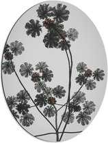 Dibond Ovaal - Takken - Bloemen - Bladeren - 51x68 cm Foto op Ovaal (Met Ophangsysteem)