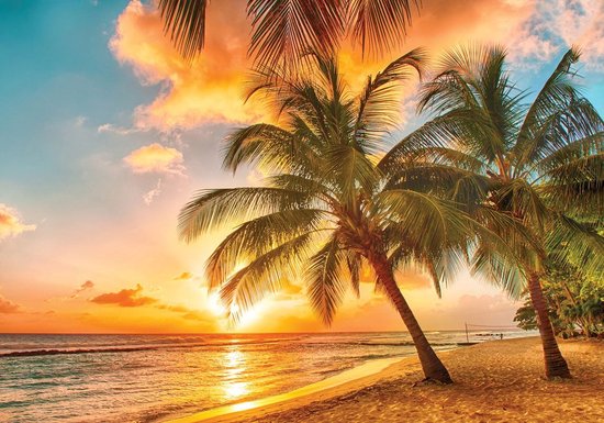 Foto: Fotobehang vlies behang tropische palmbomen aan het strand en de zee 312 x 219 cm