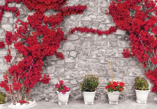 Papier peint photo Peint Intissé - Bougainvillier sur Mur de Pierre - Fleurs - 208 x 146 cm