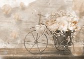 Papier peint photo Peint Intissé - Vieux Vélo avec Roses et Fleurs - 254 x 184 cm