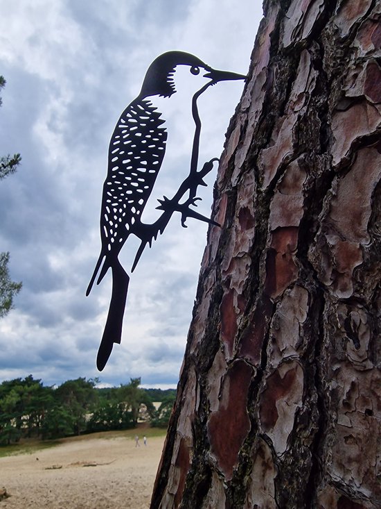 Yawdil Vintage Specht Türklopfer Aus Holz - Dekorativer Vogel Türklopfer 24cm