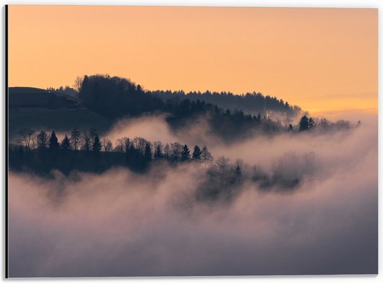 Dibond - Bergen - Bomen - Wolken - Mist - Huisje - 40x30 cm Foto op Aluminium (Met Ophangsysteem)