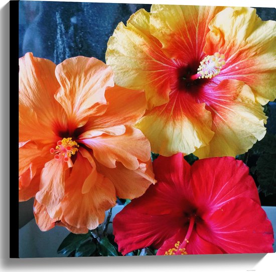 Canvas - Bloemen - Natuur - Roze - Oranje - Geel - 60x60 cm Foto op Canvas Schilderij (Wanddecoratie op Canvas)