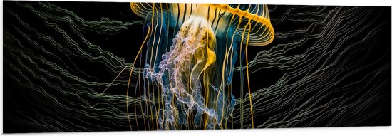Kwal Met Meerdere Lange Tentakels Geïsoleerd Op Witte Achtergrondvectorset Begrip Onderwaterfauna En Oceaanfauna Image175260912