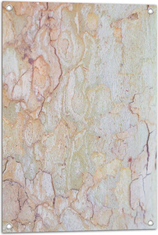 Tuinposter – Close-up van Stenen Vegen - 50x75 cm Foto op Tuinposter (wanddecoratie voor buiten en binnen)