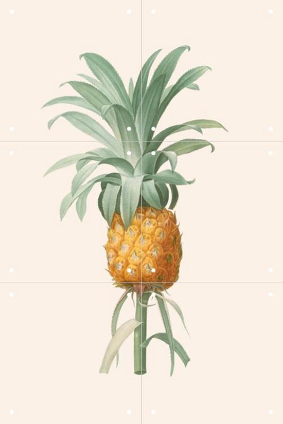IXXI Ananas - Wanddecoratie - Eten en Drinken - 40 x 60 cm