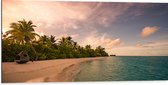 Dibond - Ligbed aan Palmboom op Strand van Onbewoond Eiland - 100x50 cm Foto op Aluminium (Met Ophangsysteem)