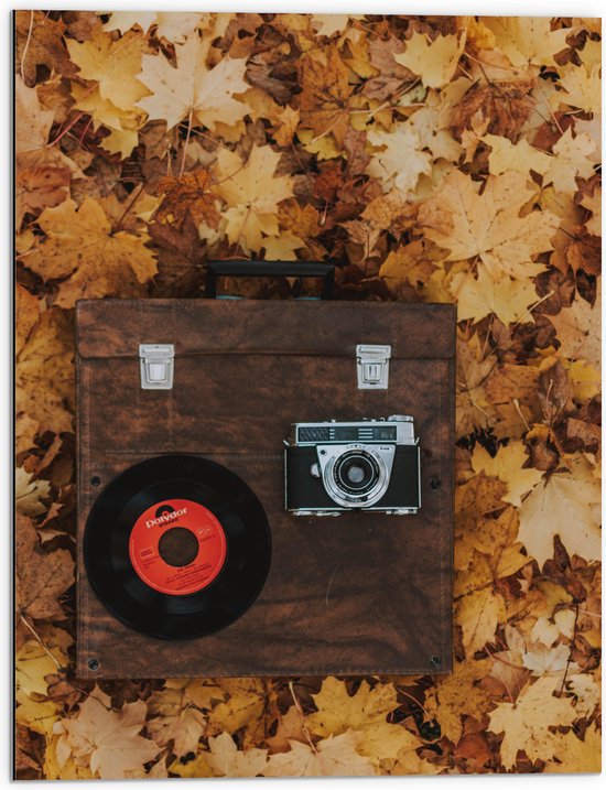 Dibond - Muziekplaat en Vintage Camera op Koffer tussen de Herfstbladeren - 60x80 cm Foto op Aluminium (Met Ophangsysteem)