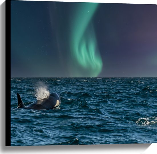 Canvas - Noorderlicht boven Orka in de Zee - 60x60 cm Foto op Canvas Schilderij (Wanddecoratie op Canvas)