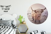 WallCircle - Wall Circle - Wall Circle Indoor - Scottish Highlanders - Neige - Soleil - 120x120 cm - Décoration murale - Peintures Ronds XXL