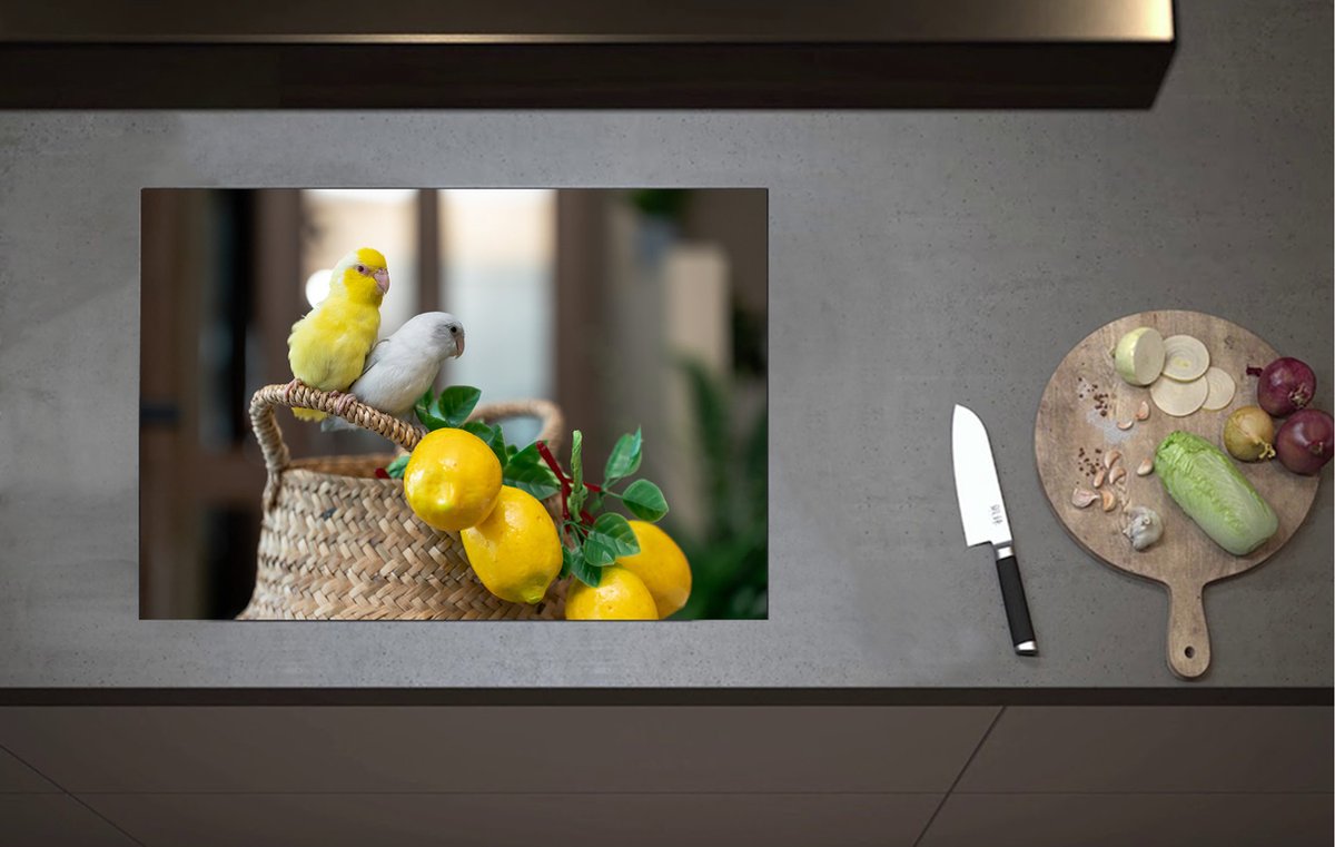Inductieplaat Beschermer - Witte en Gele Parkiet op Mandje Gevuld met Citroenen - 70x52 cm - 2 mm Dik - Inductie Beschermer van Vinyl