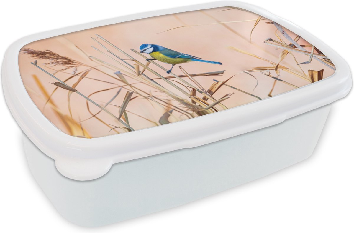 Broodtrommel Wit - Lunchbox - Brooddoos - Vogel - Pimpelmees - Riet - 18x12x6 cm - Volwassenen