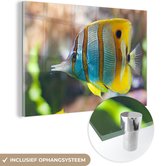 MuchoWow® Glasschilderij 180x120 cm - Schilderij acrylglas - Vis - Water - Macro - Foto op glas - Schilderijen
