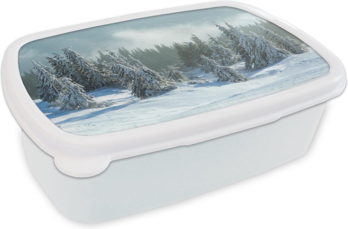 Broodtrommel Wit - Lunchbox - Brooddoos - Bos - Sneeuw - Winter - 18x12x6 cm - Volwassenen