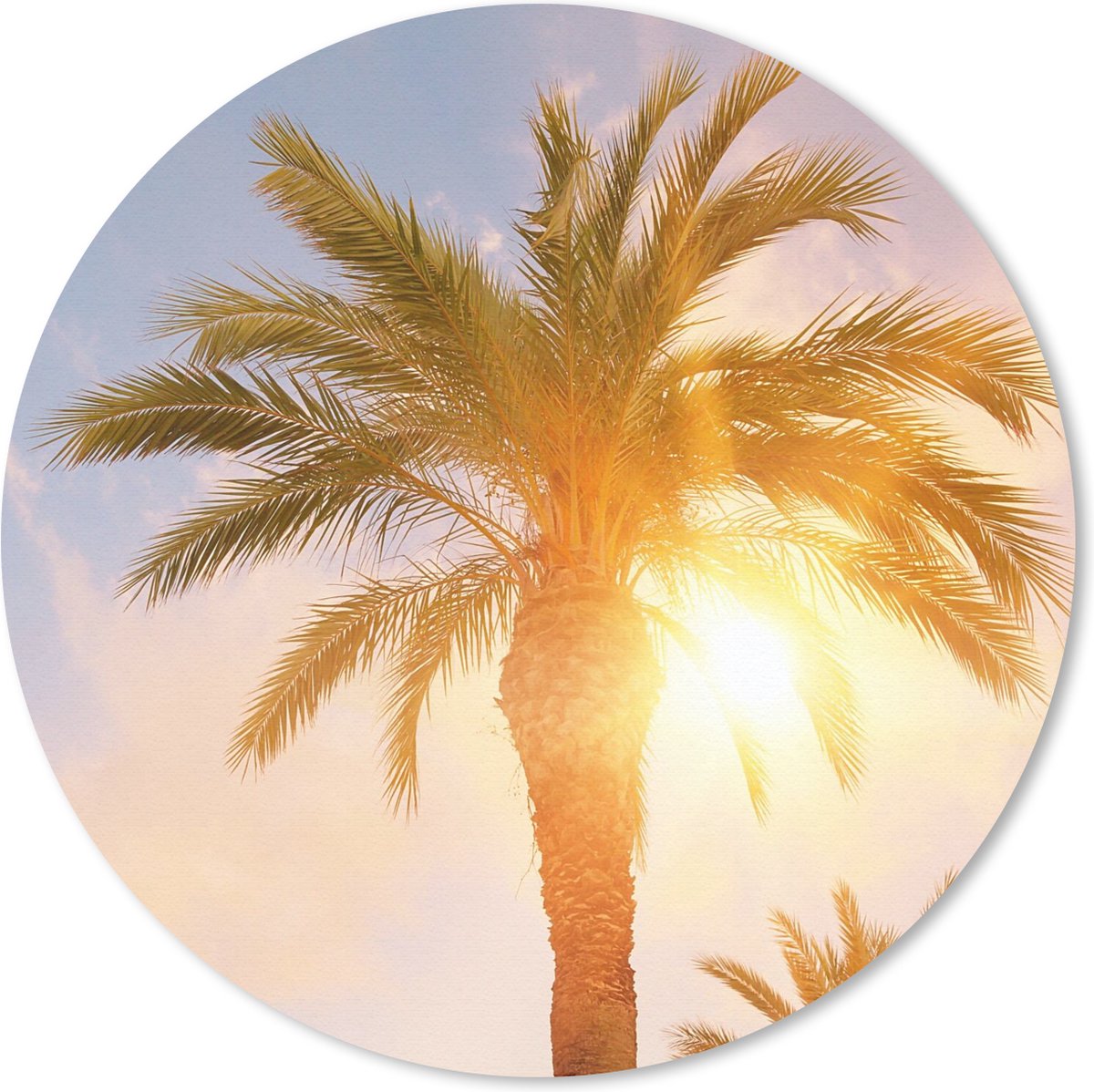 Muismat rond 50x50 cm - Mousepad Palmboom - Zomer - Zon - Tropical - Ronde muismatten