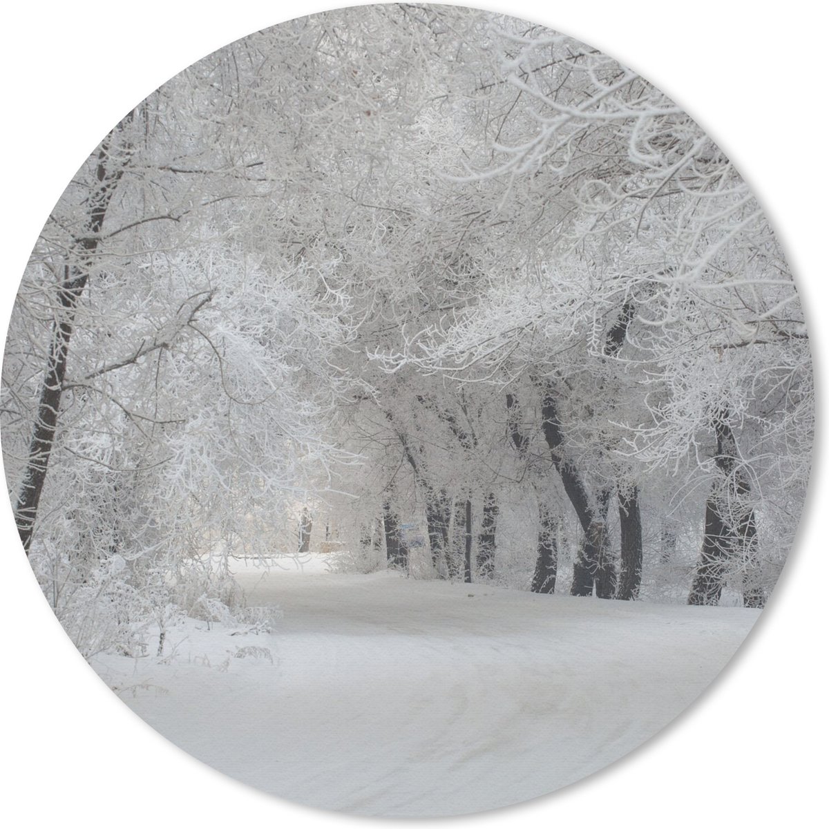 Muismat rond 50x50 cm - Mousepad Bomen - Sneeuw - Winter - Ronde muismatten