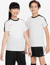Nike Dri-Fit Academy 23 Shirt