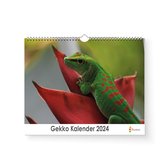 Huurdies - Gekko Kalender - Jaarkalender 2024 - 35x24 - 300gms