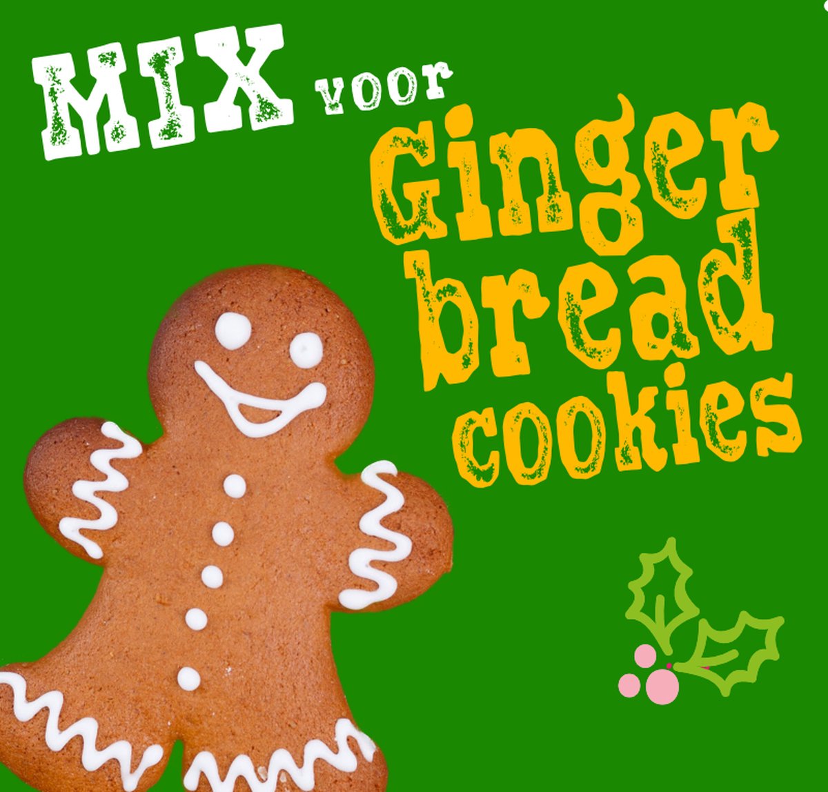 Kerstkoekjes met chocolade - Annabella's Foodblog