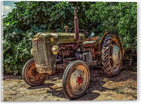 Acrylglas - Oude Verroeste Tractor bij Donkergroene Struik - 40x30 cm Foto op Acrylglas (Met Ophangsysteem)