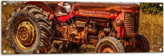 Tuinposter – Oude Verroeste Rode Tractor in het Weiland - 120x40 cm Foto op Tuinposter (wanddecoratie voor buiten en binnen)