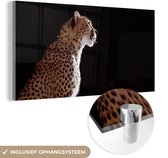 MuchoWow® Glasschilderij 80x40 cm - Schilderij acrylglas - Cheeta - Dieren - Licht - Foto op glas - Schilderijen