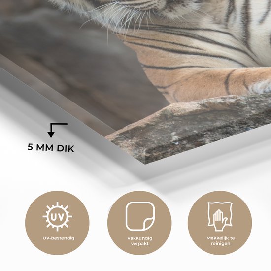 MuchoWow® Peinture sur verre - Tigre - Rocher - Montagnes - 180x120 cm - Peintures sur verre acrylique - Photo sur Glas