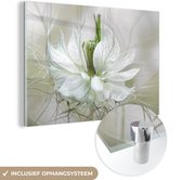 Glasschilderij - Bloemen - Wit - Botanisch - Natuur - Foto op glas - 30x20 cm - Muurdecoratie