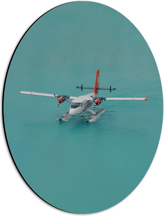 Dibond Ovaal - Stuntvliegtuig Dobberend op het Water - 30x40 cm Foto op Ovaal (Met Ophangsysteem)