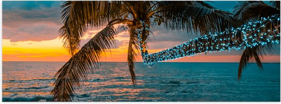 Poster Glanzend – Palmbladeren Hangend over het Strand bij de Kust - 120x40 cm Foto op Posterpapier met Glanzende Afwerking