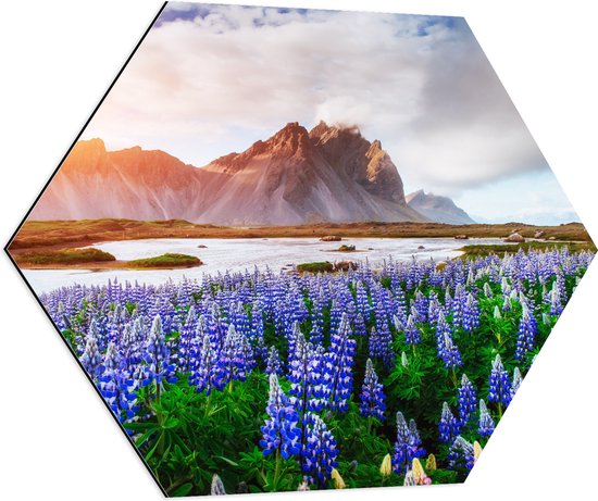 Dibond Hexagon - Lavendelbloemen langs Meer onder aan Rij Bergen - 70x60.9 cm Foto op Hexagon (Met Ophangsysteem)
