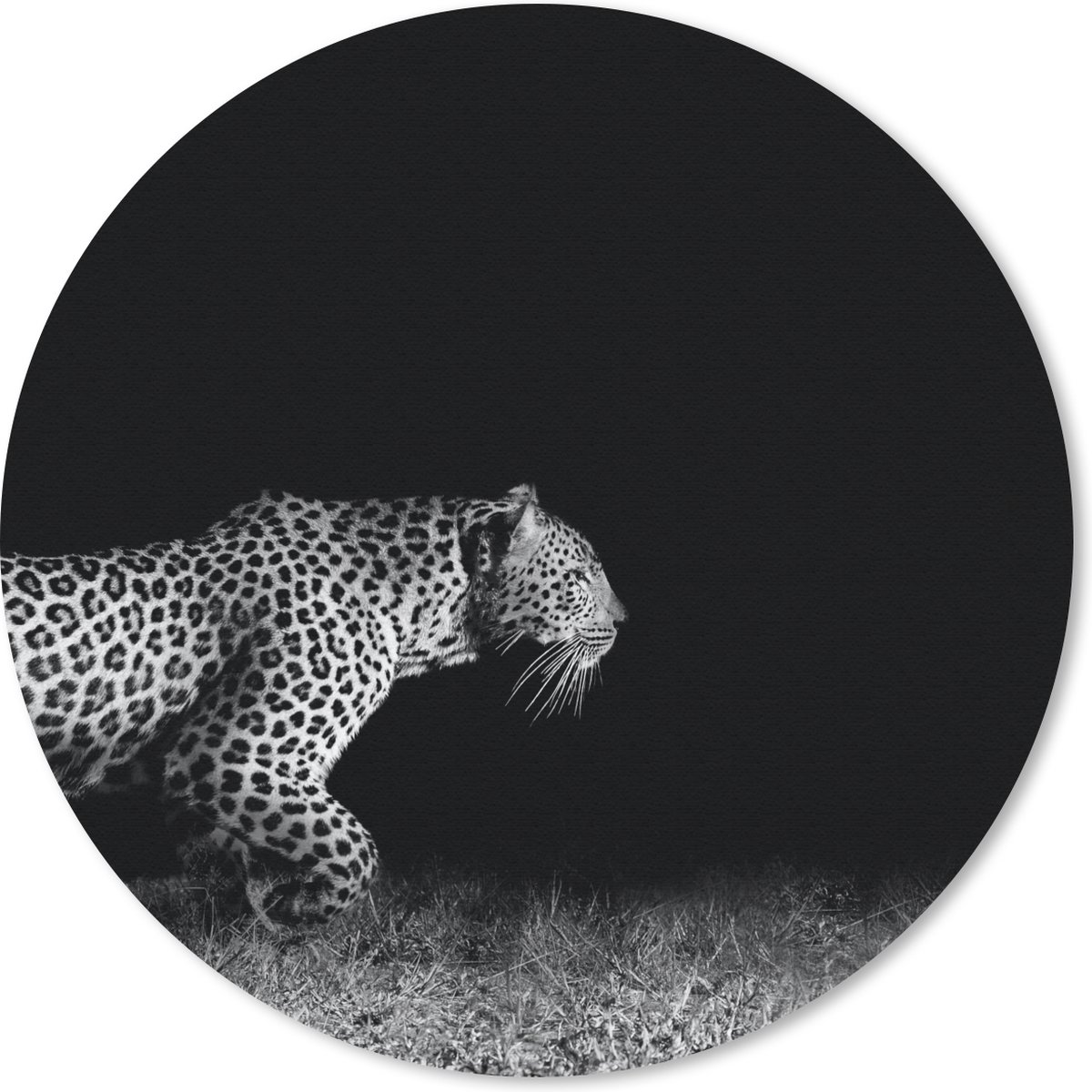Muismat rond 40x40 cm - Mousepad Wilde dieren - Luipaard - Gras - Zwart - Wit - Ronde muismatten