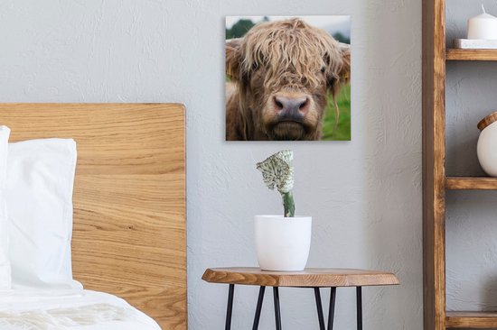 Peinture sur toile Highlander écossais - Herbe - Forêt - 20x20 cm - Décoration murale