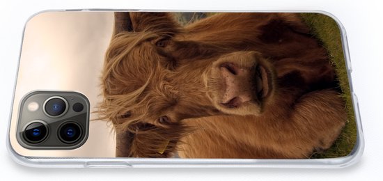 Coque iPhone 13 Pro - Highlander écossais - Animaux - Berg - Siliconen