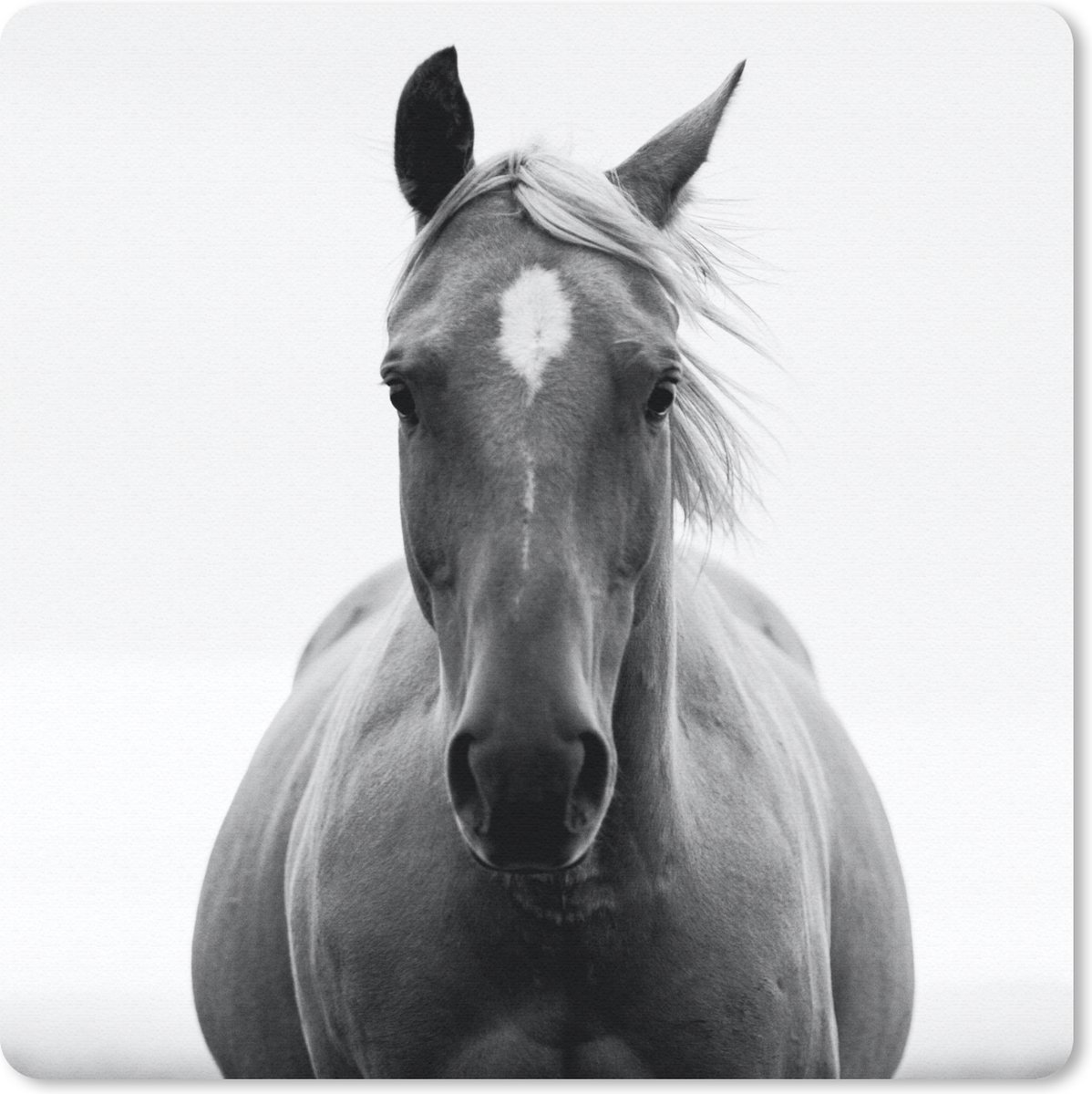 Muismat 20x20 cm - Mousepad Paard - Zwart - Wit - Portret - Muismatten