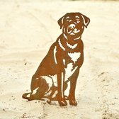 Labrador - Silhouet Hond - Cortenstaal - NL Fabrikaat