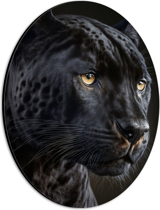 Dibond Ovaal - Close-up van Starende Zwarte Panter - 21x28 cm Foto op Ovaal (Met Ophangsysteem)