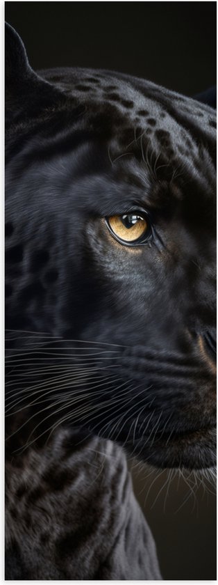Poster (Mat) - Close-up van Starende Zwarte Panter - 20x60 cm Foto op Posterpapier met een Matte look