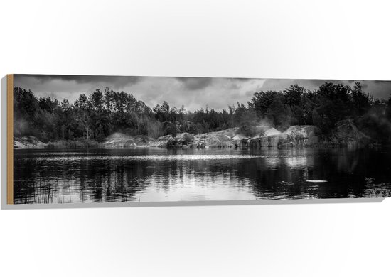 Hout - Meer in het Midden van het Bos (Zwart-wit) - 120x40 cm - 9 mm dik - Foto op Hout (Met Ophangsysteem)