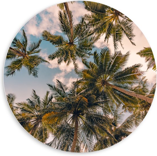 PVC Schuimplaat Muurcirkel - Onderaanzicht van Tropische Palmbomen onder Wolkenveld - 60x60 cm Foto op Muurcirkel (met ophangsysteem)