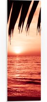 PVC Schuimplaat - Palmbladeren Hangend boven Zee met Rode Gloed - 20x60 cm Foto op PVC Schuimplaat (Met Ophangsysteem)