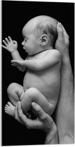 Acrylglas - Pasgeboren Baby in Handen van Vader (Zwart- wit) - 50x100 cm Foto op Acrylglas (Wanddecoratie op Acrylaat)